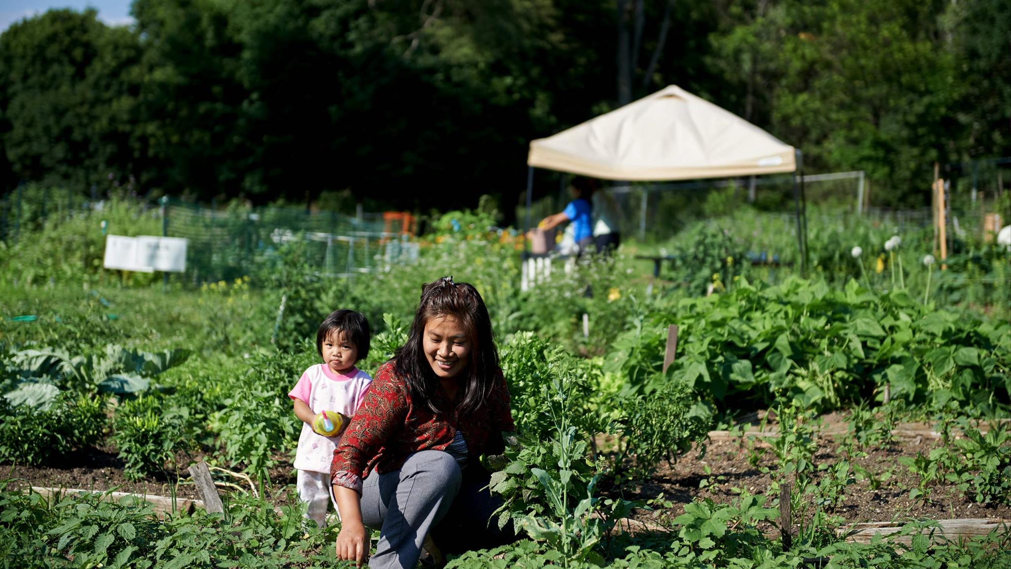 Food Systems - W.K. Kellogg Foundation